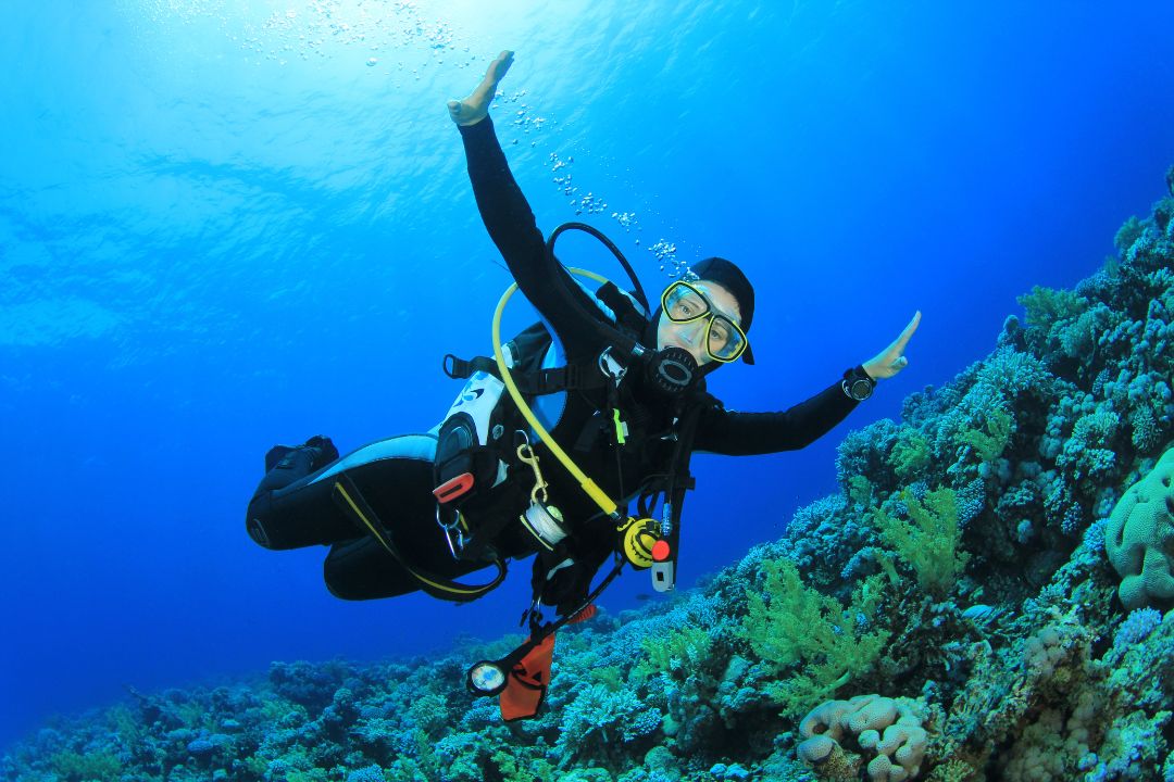 Buceo en Santa Marta