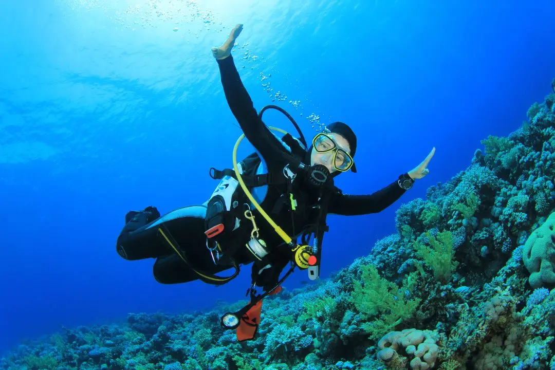 Tours in Santa Marta