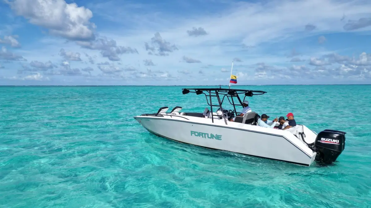 White Wata