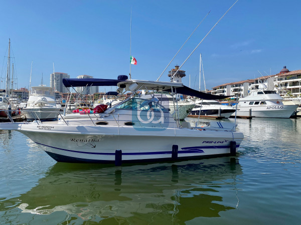 Bote Renata. | Bote en puerto vallarta